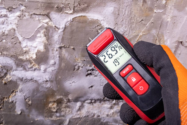 Best Mold Damage Repair  in Fox Point, WI